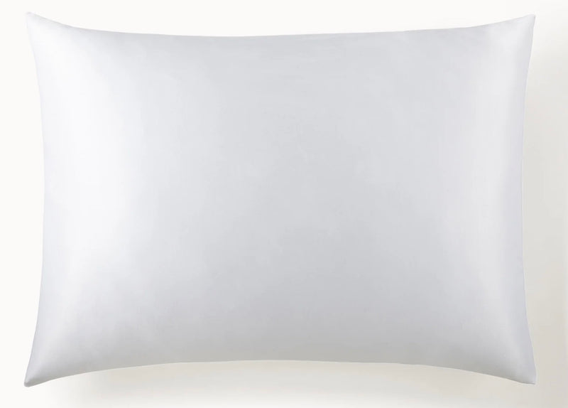 Mulberry Silk Pillow Case