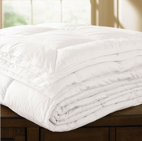Eastern Accents Loure Down Alternative Firm Pillow & Reviews